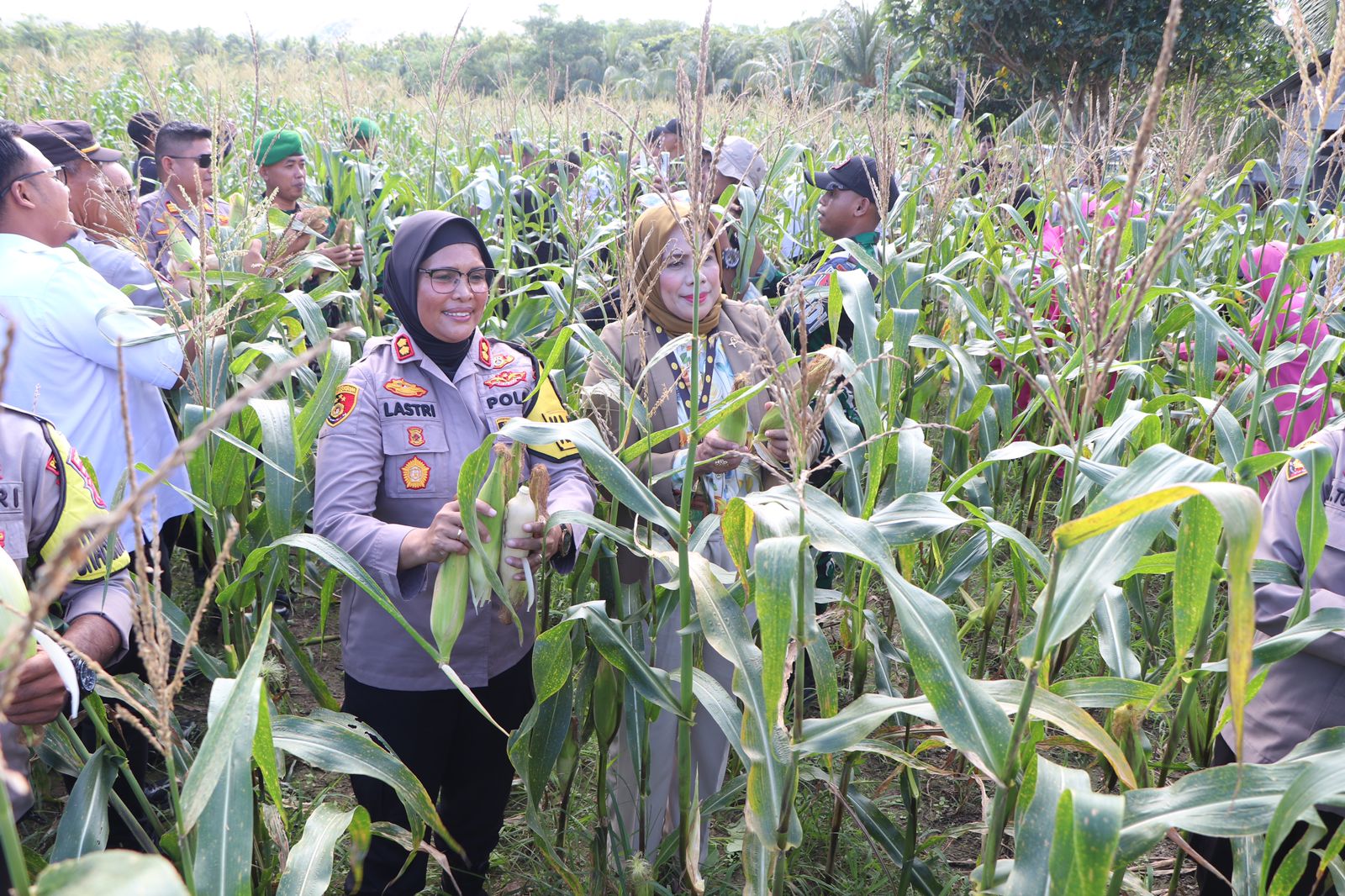 Dukung Program Astacita Presiden RI, Kapolres Buru Pimpin Panen Raya 2000 Tongkol Jagung di Dusun Waeparang