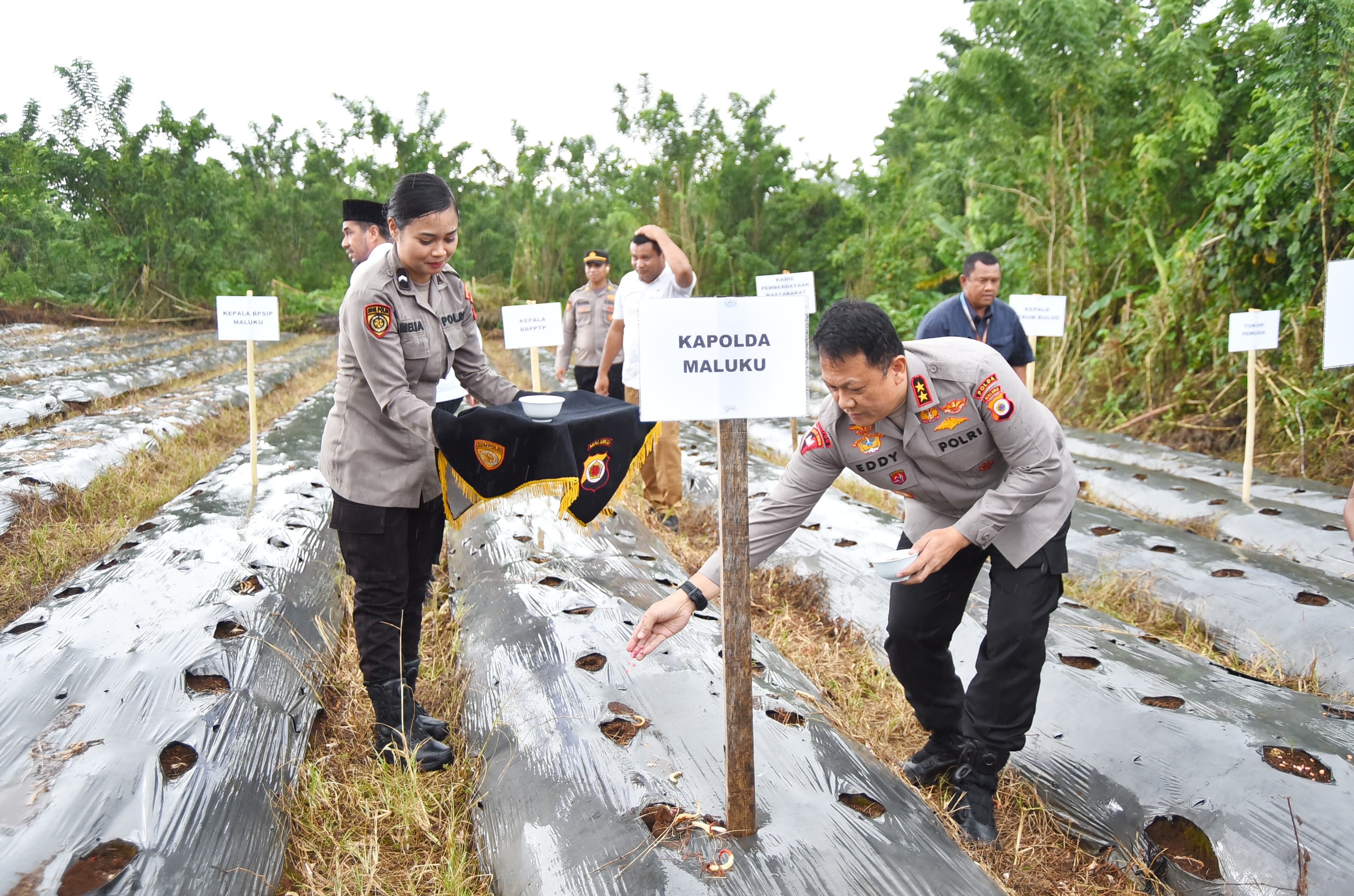 Penanaman Jagung Satu Juta Hektar, Kapolda: Polda Maluku Siap Dukung Program Astacita Presiden
