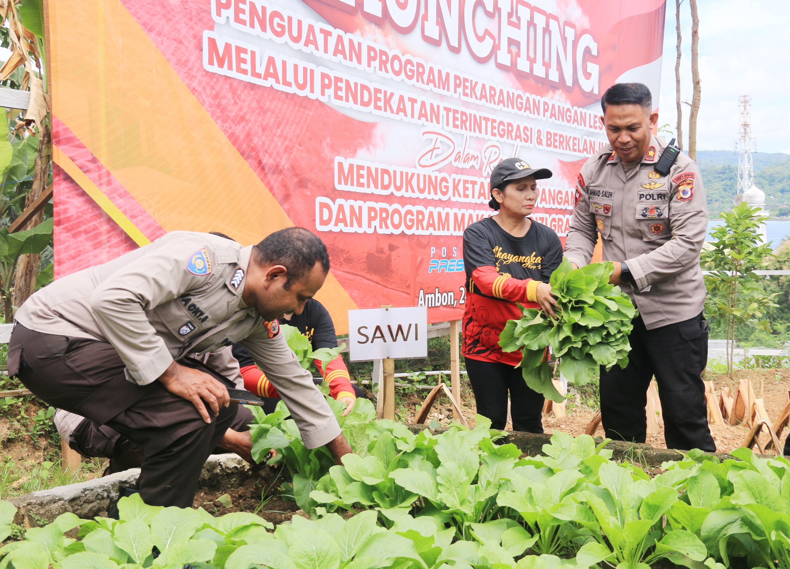 Polda Maluku Panen Sayur Perdana di Pekarangan Pangan Lestari Upua