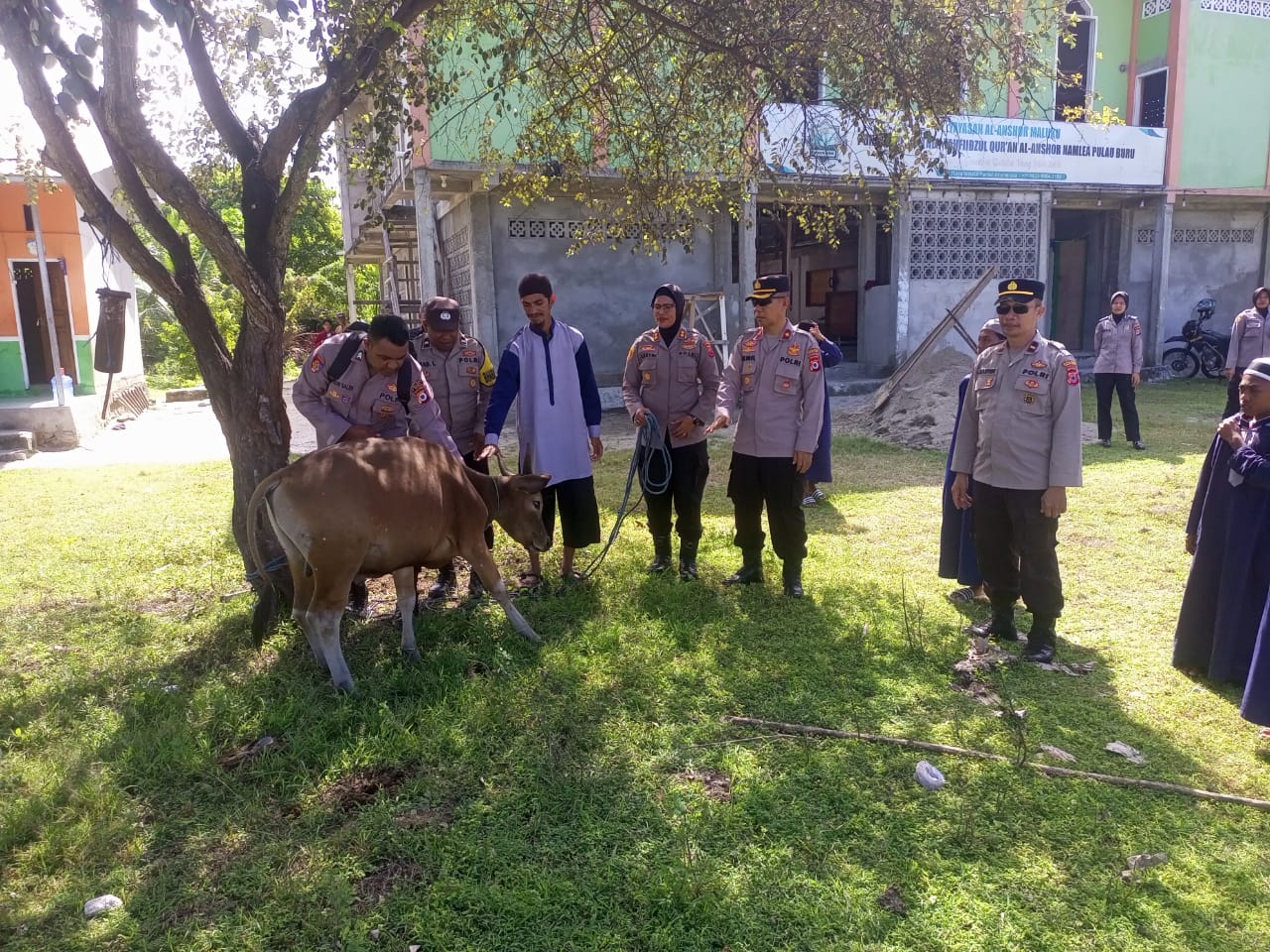 Idul Adha, Polres Buru Sembelih 5 Ekor Sapi, 2 Diserahkan ke Pondok Pesantren