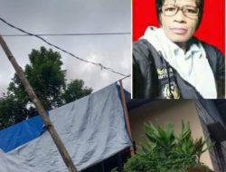 KEJAHATAN KERJA PLN PT. PERSERO MALUKU.MALUT GUNAKAN BAMBU SEBAGAI PENYANGGA KABEL LISTRIK DI KARPAN AMBON.