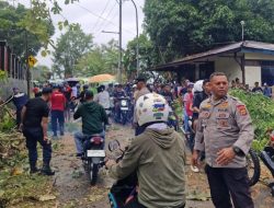 Pohon Tumbang Timpa Angkot, Lalin Sempat Macet
