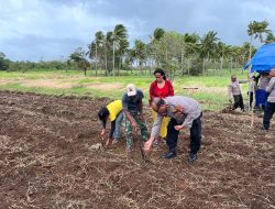 Polri Tanam Jagung Serentak di Kepulauan Tanimbar, Dukung Swasembada Pangan Nasional