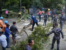 Jaga Keamanan Masyarakat Pengguna Jalan, Kodaeral lX Bantu Pruning Pohon di Jln. Piere Tendean Ambon