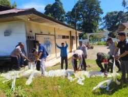 Polsek Salahutu Musnahkan 500 Liter Sopi Hasil Razia