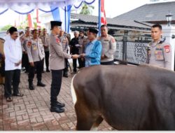 Idul Adha 2026, Polda Maluku Tebar Kepedulian untuk Umat Lewat 37 Sapi Kurban