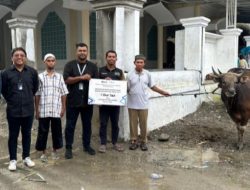 TJSL PELNI Salurkan Hewan Qurban untuk Masyarakat Wilayah Ambon