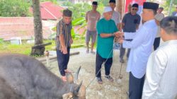 Momentum Penyembelihan Hewan Kurban, Kapolda Maluku: Semangat Kurban Harus Menjadi Napas Pengabdian Polri kepada Masyarakat