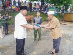 Bikin Geeleng-geleng Kepala, Jumlah Hewan Qurban Kodam Pattimura Tembus 78 Ekor.