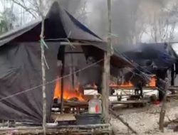 Ketua DPD INTRAWIN Maluku Soroti Dampak Penertiban Tambang Gunung Botak terhadap Ekonomi Masyarakat